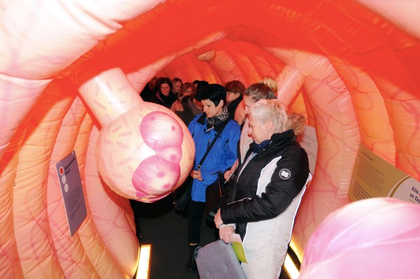 Mitarbeiterinnen und Mitarbeiter der Biologische Heilmittel Heel GmbH gehen durch Europas größtes Modell eines menschlichen Darms